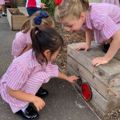 Year 1 girls looking at the new fairy doors.