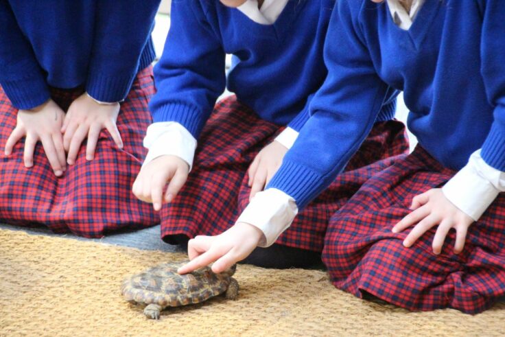 Three Ken Prep girls kneeling and stroking a tortoise's shell.