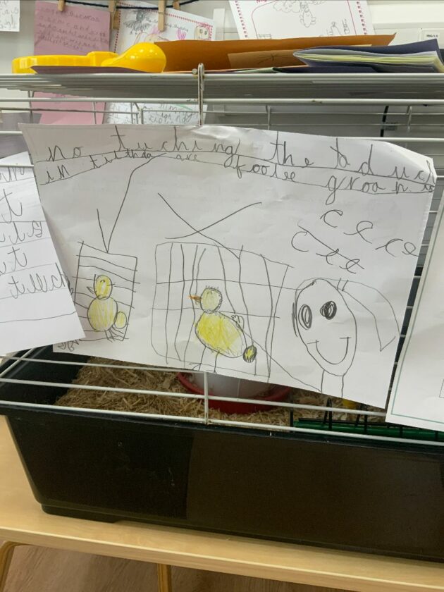Notes left on the egg cage, telling people not to touch the eggs.